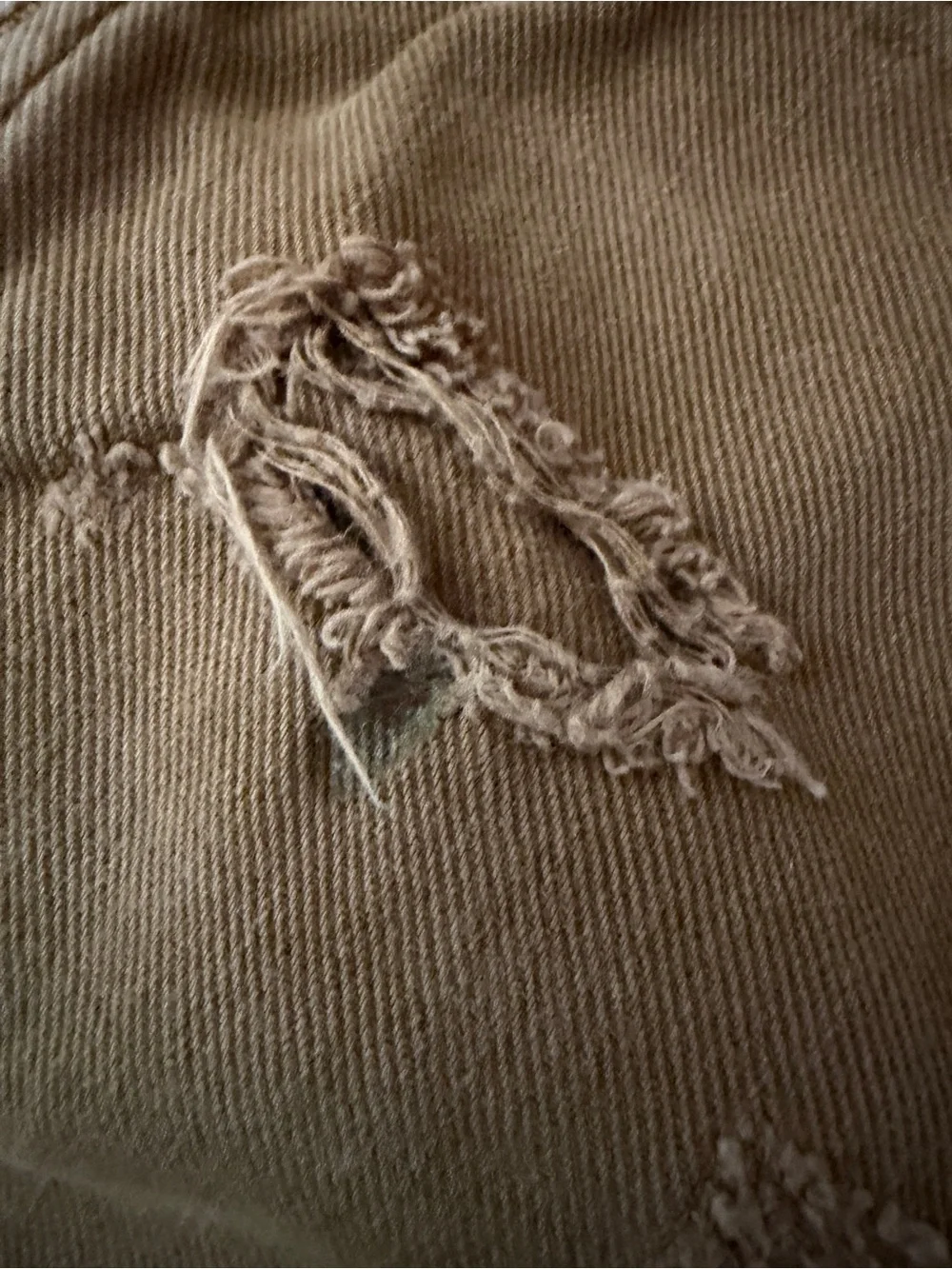 GAP Brown Distressed Kids Cargo pants